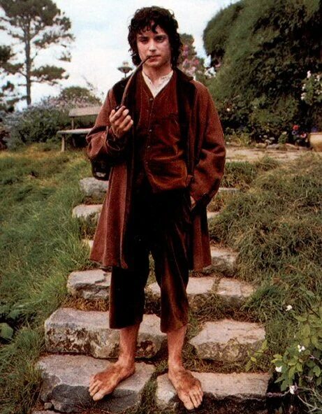 Файл:Lotr-frodo-baggins-still-2.jpg