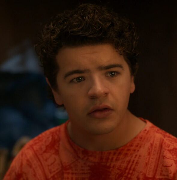 Файл:Stranger-things-dustin-henderson-still-1.jpg