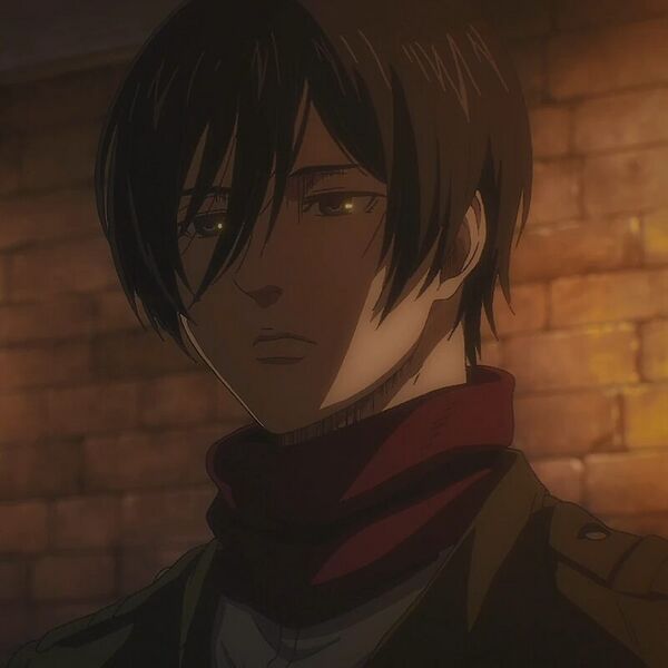 Файл:Attack-on-titan-mikasa-ackermann-still-3.jpg