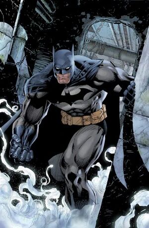 Dc-universe-bruce-wayne-art.jpg