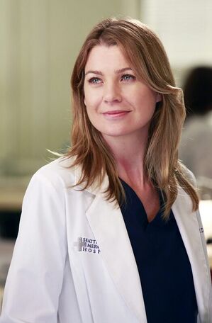 Greys-anatomy-meredith-grey-art.jpg