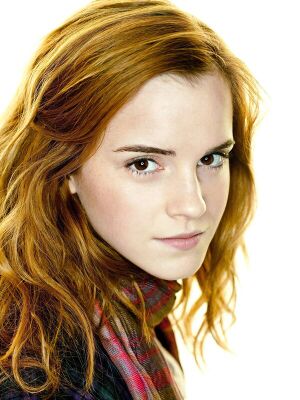 Harry-potter-hermione-granger-art.jpg